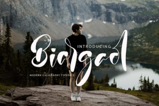Biargaol Font: A Playful Script for Makers