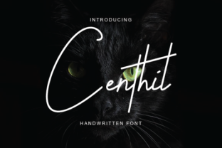Centhil: A Designer’s Review of Script Amp’s Elegant Typeface