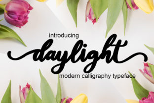 Daylight Font Review for Web Design