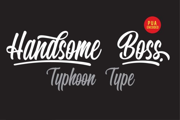 Handsome Boss: A Bold Typeface for Editorial Impact