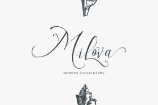 Milova Font: Elevating Web Design with Organic Script