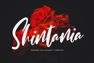Shintania: A Romantic Script Font for Web Design