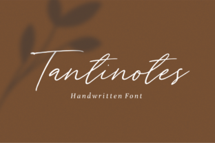 Tantinotes: A Designer’s Honest Review for Real Branding Work